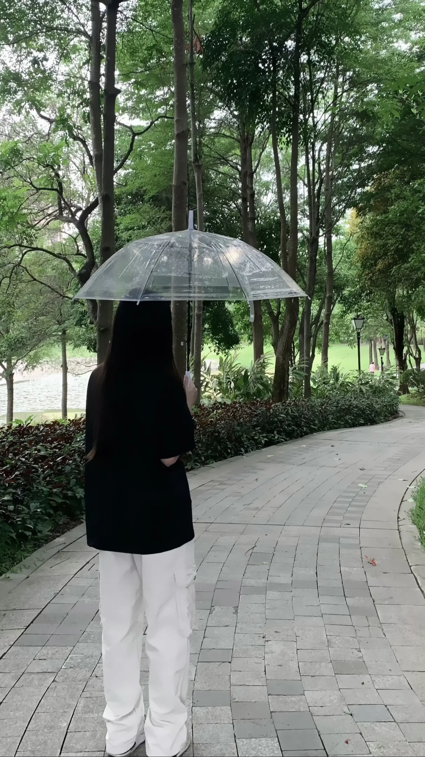我讨厌下雨 但我希望雨不要停 因为我可以和你同撑一把伞
