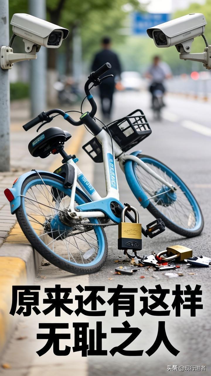 现在有些年轻人一旦游手好闲，干出的事儿让人无语，偷鸡摸狗都是信手拈来。

就今天