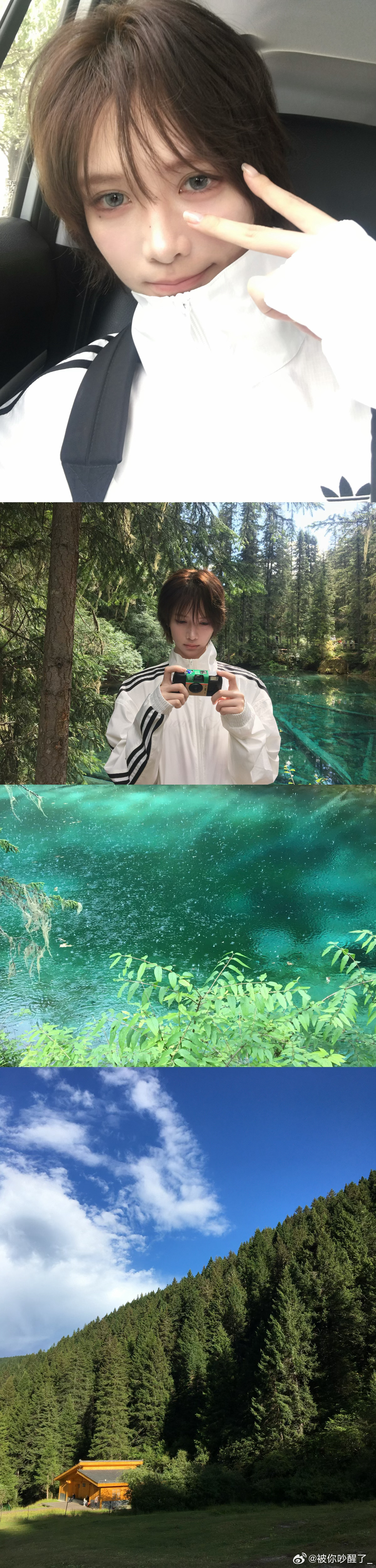 🌿 