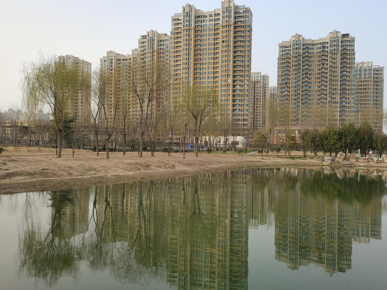 临江仙（寻花问柳）
昨日扬沙遮落日，今曦落定万籁寂。寻花问柳需趁早。怕的柳芽长，