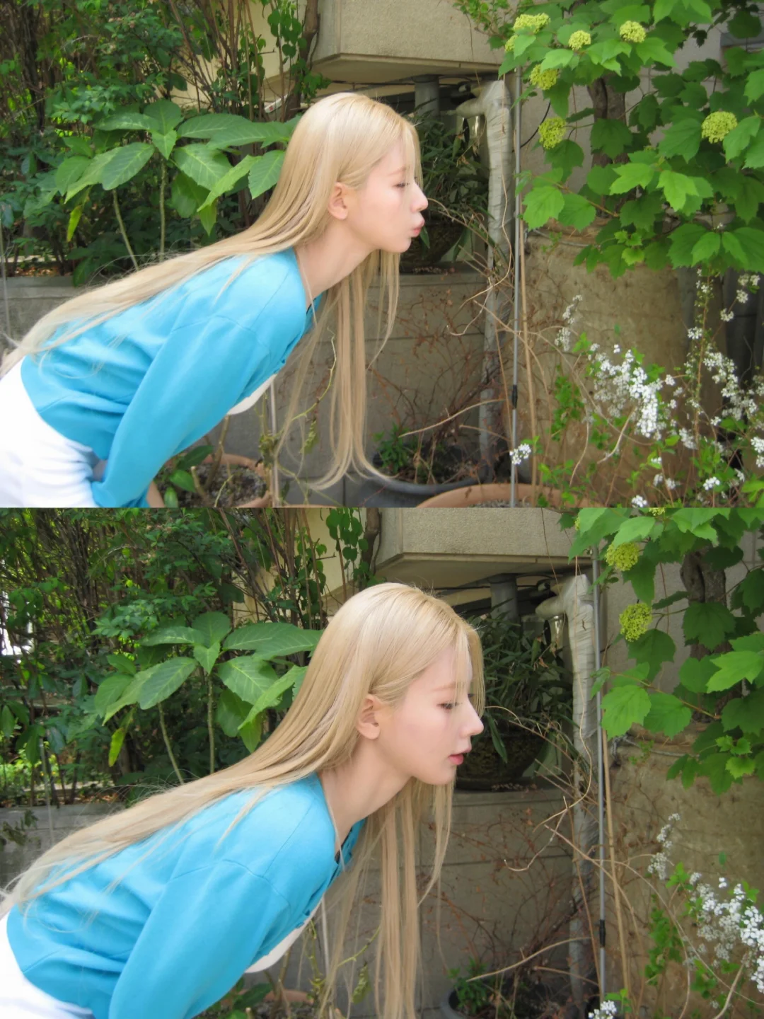 ‧⁺ ⊹˚.⋆♡˖ ࣪⊹˚₊♡‧⁺ ⊹˚.⋆ ꙳ ∩꣑୧∩ ╭◜◝ ◜...