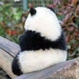 历史王说说历史