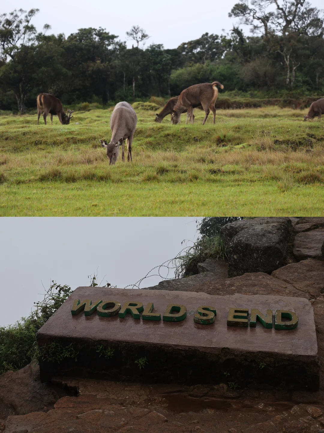 国庆斯里兰卡🇱🇰9 天行程超全攻略来袭‼️