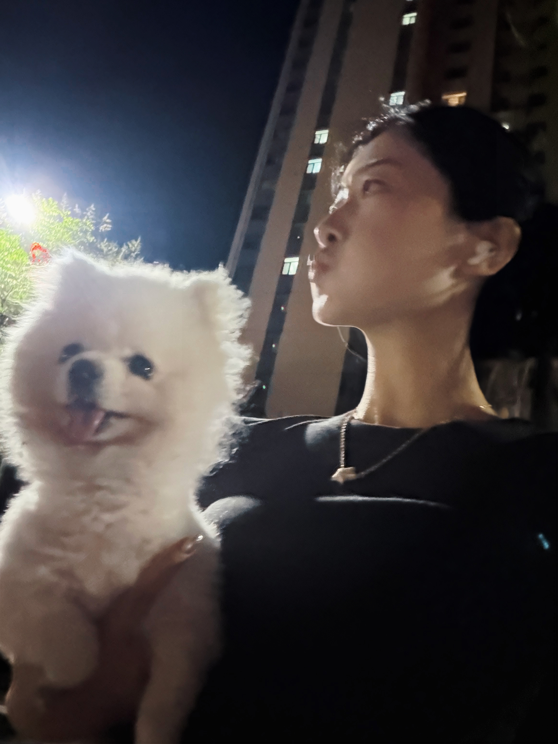 这两天感觉自己化身一只鸡，追剧的时候大部分时间都是捂着嘴巴发出鸡叫 ​​​