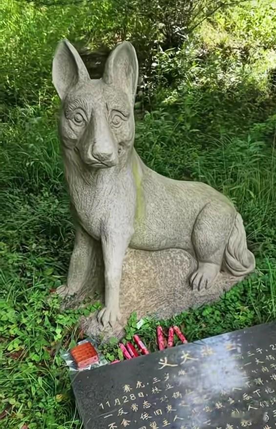 江西省九江市贺家山陵园里，有一座狗的墓地。

每年，大江南北，长城内外大批游客慕