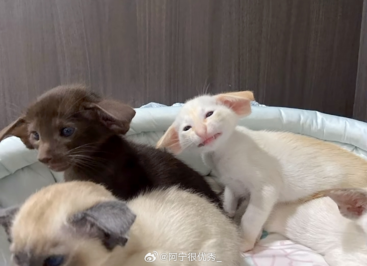 可爱死了 ​​​