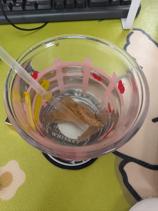 后悔没喝完老师送的盐渍菊花茶