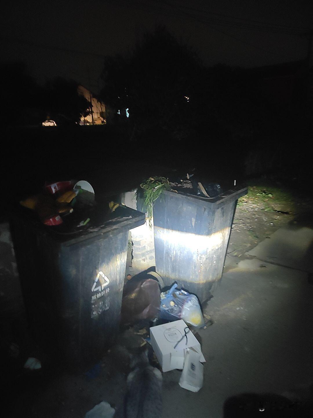 堂姐去年离婚了，女儿十四岁，沉稳得不像那个年纪的人。可我总记得她婴儿时的样子——