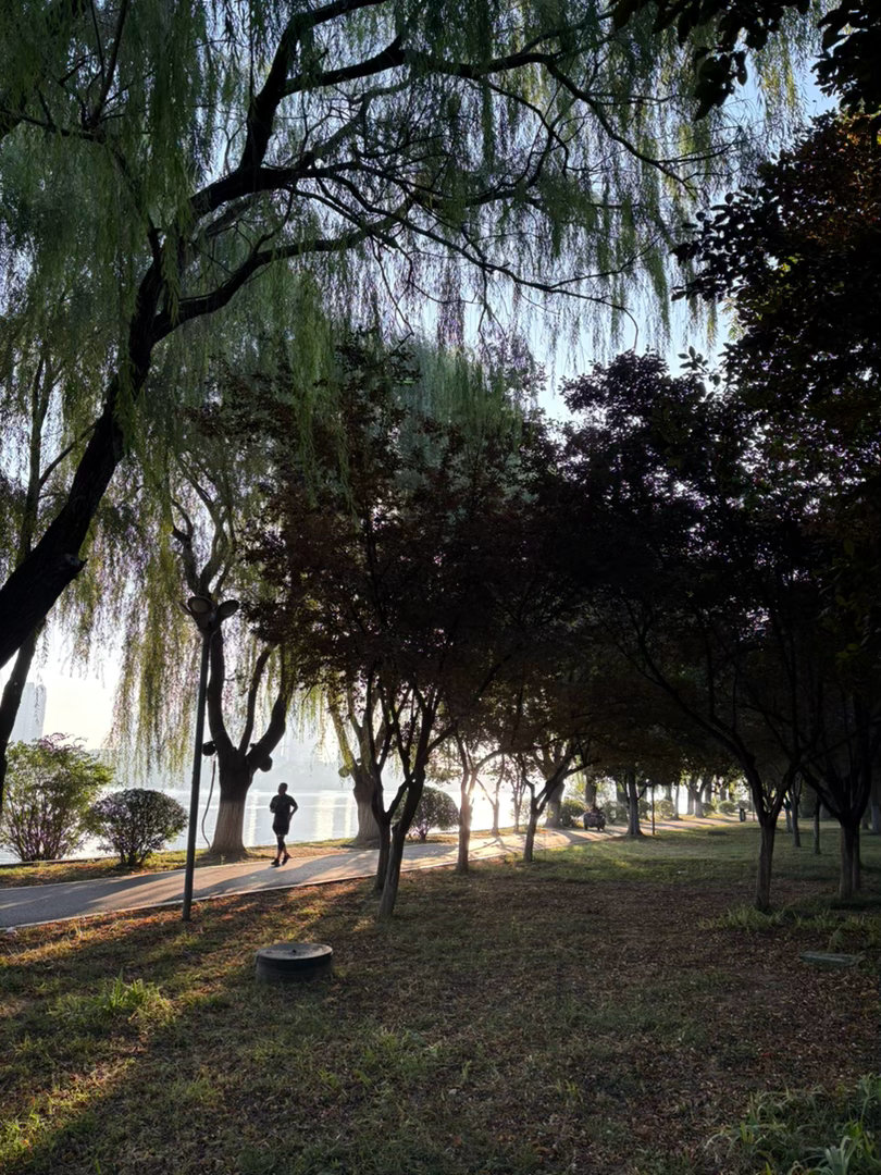 阳光灿烂的早晨 ​​​