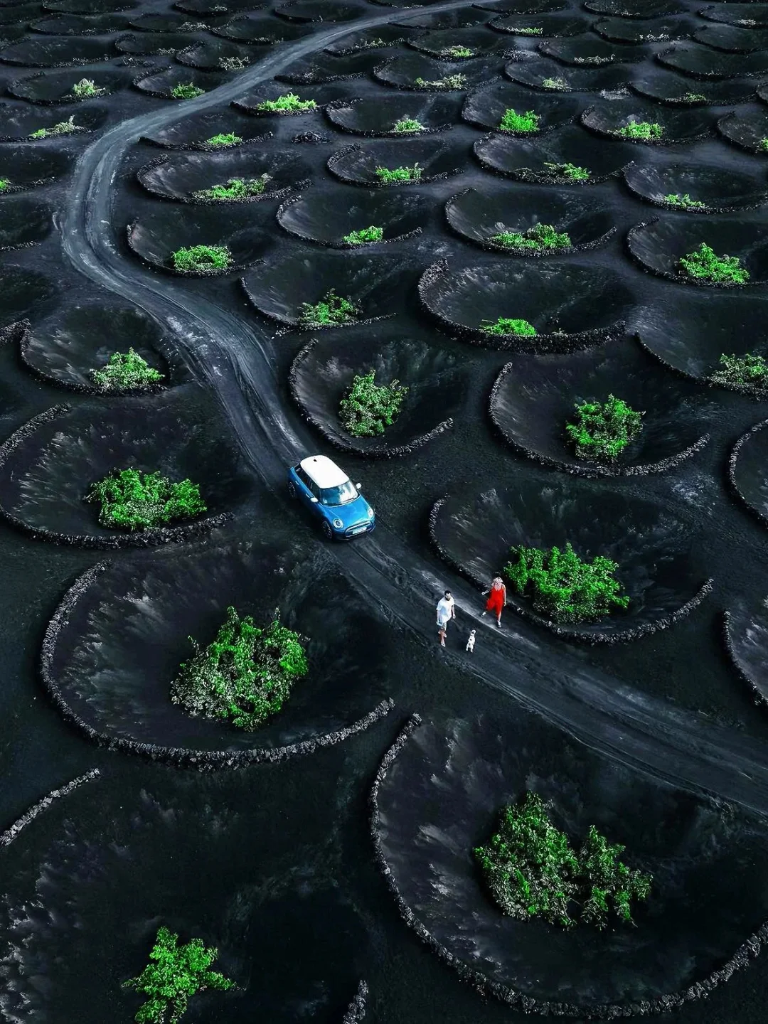 西班牙Lanzarote异世界🪨必打卡攻略请收好！