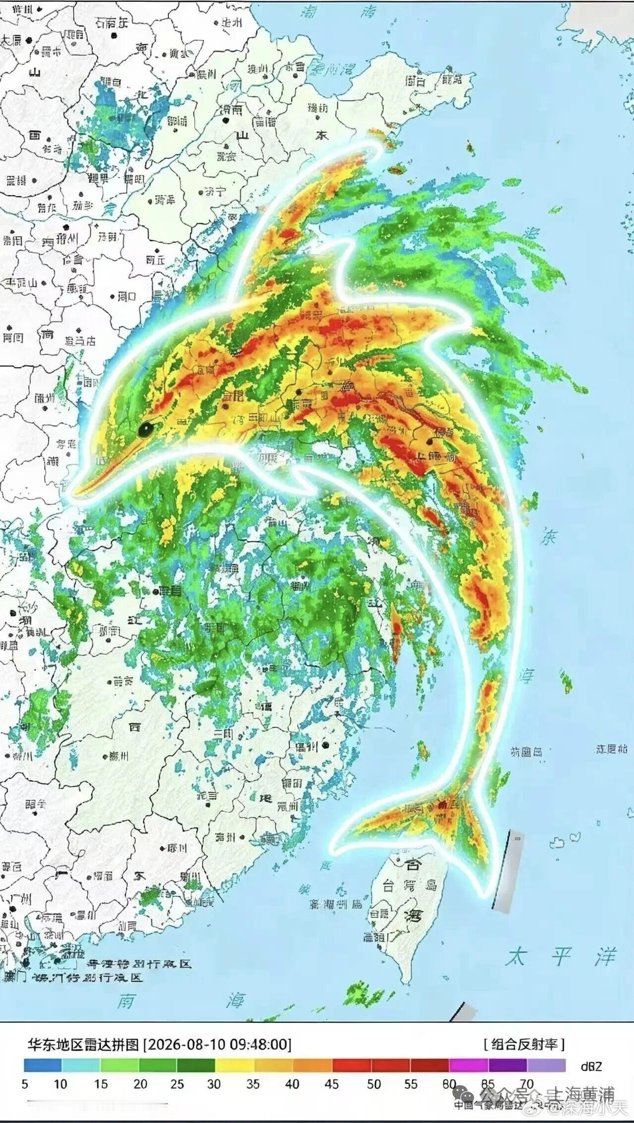 谁画的？谁画的白海豚！！台风白海豚致浙江临海内涝苏州现在雨下最大