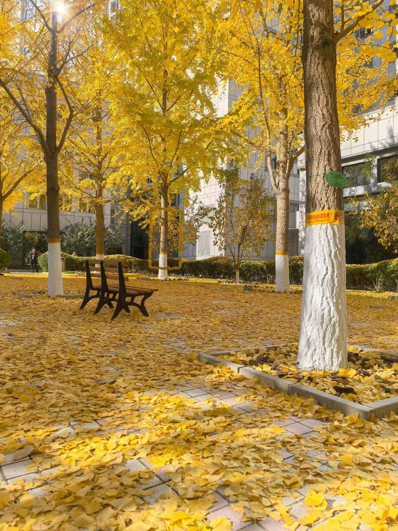 星海V9让豪华MPV走进千万家