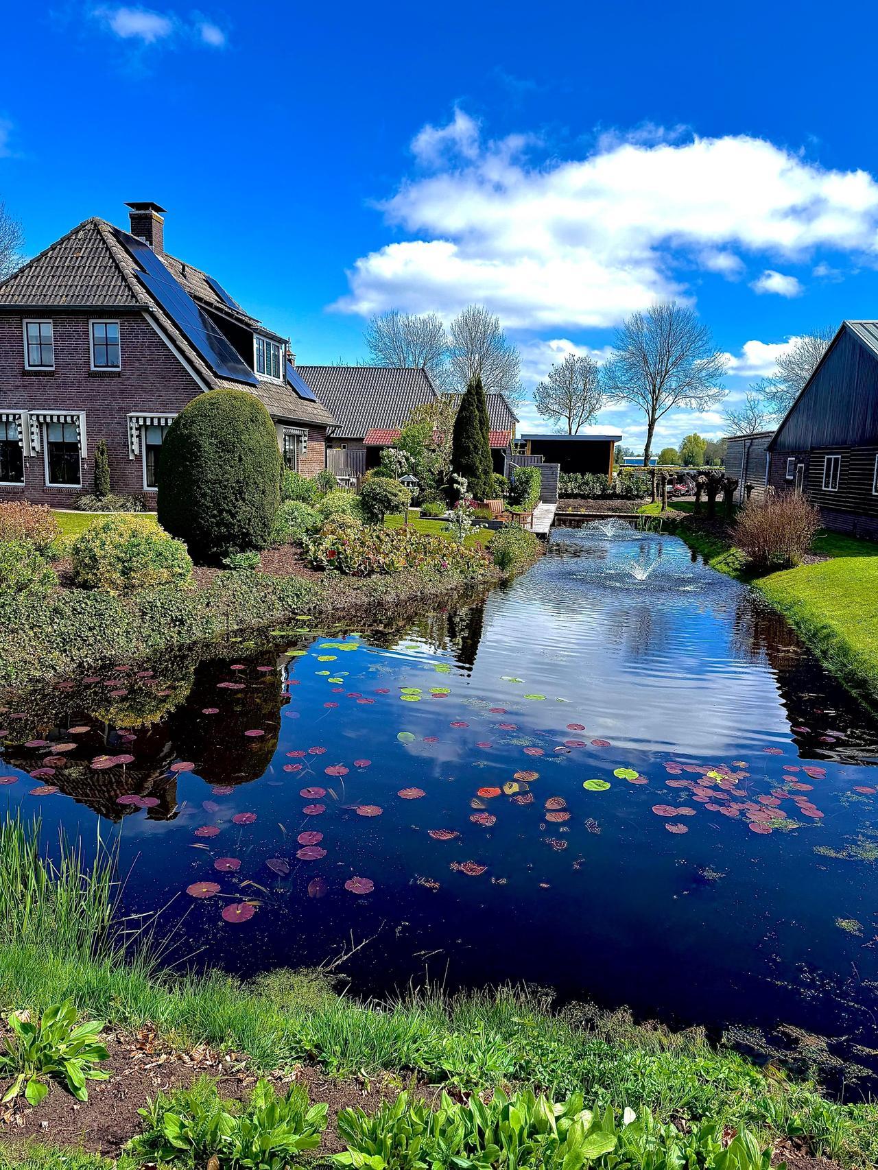 这是荷兰的羊角村，一个没有汽车道、全靠运河平底船和步行桥通行的村庄，被称为“荷兰