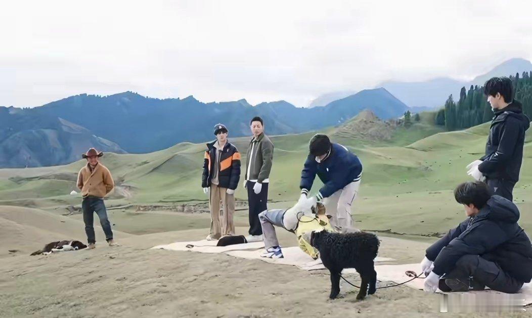 苏新皓怎么还有这个姿势苏新皓这个姿势是谁羡慕那只小羊了，俺也想和小苏贴贴 ​​​