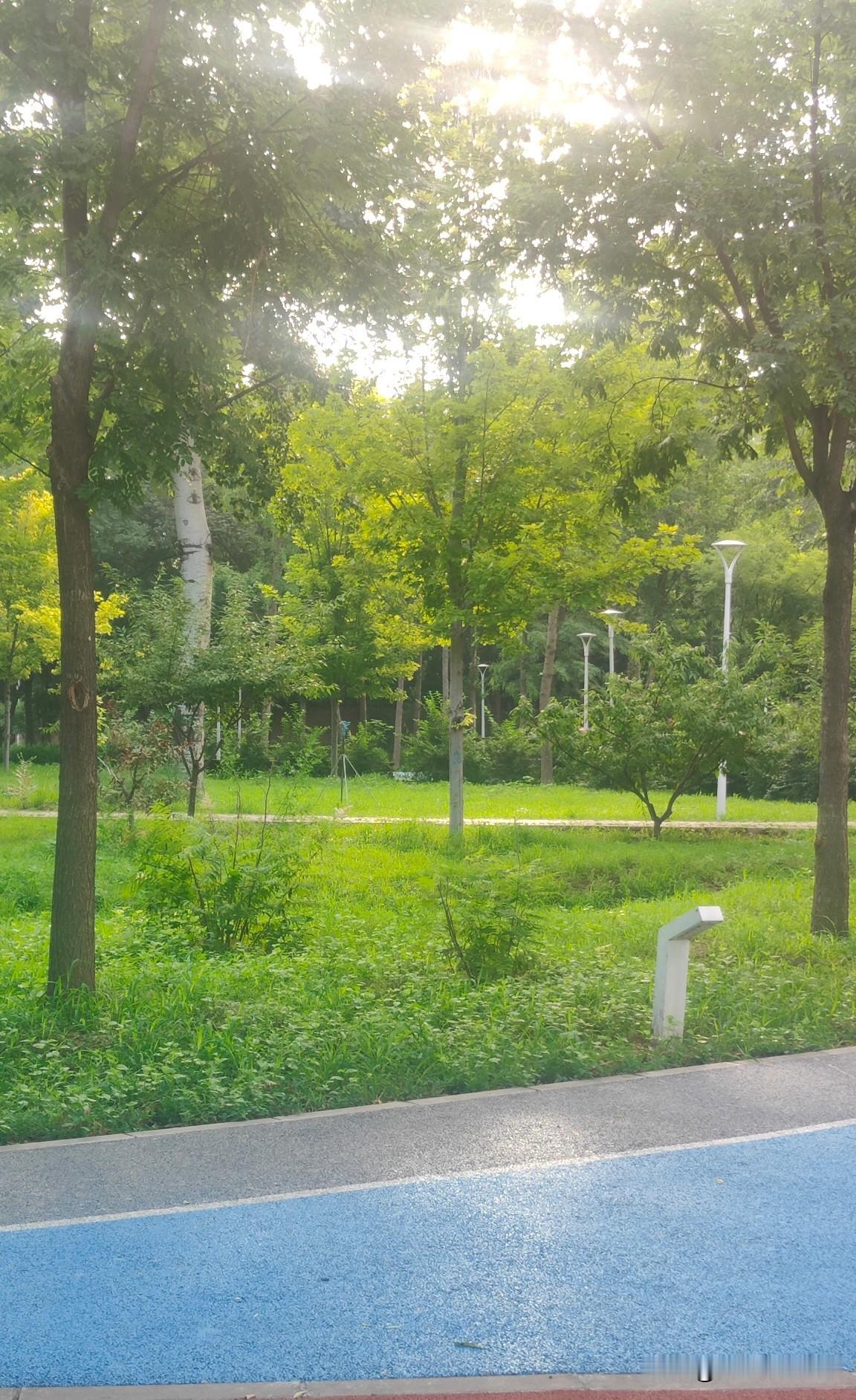 北京中小学生｜7.8-8.31近2个月暑假（官方+落地版安排）
按教委要求+北京