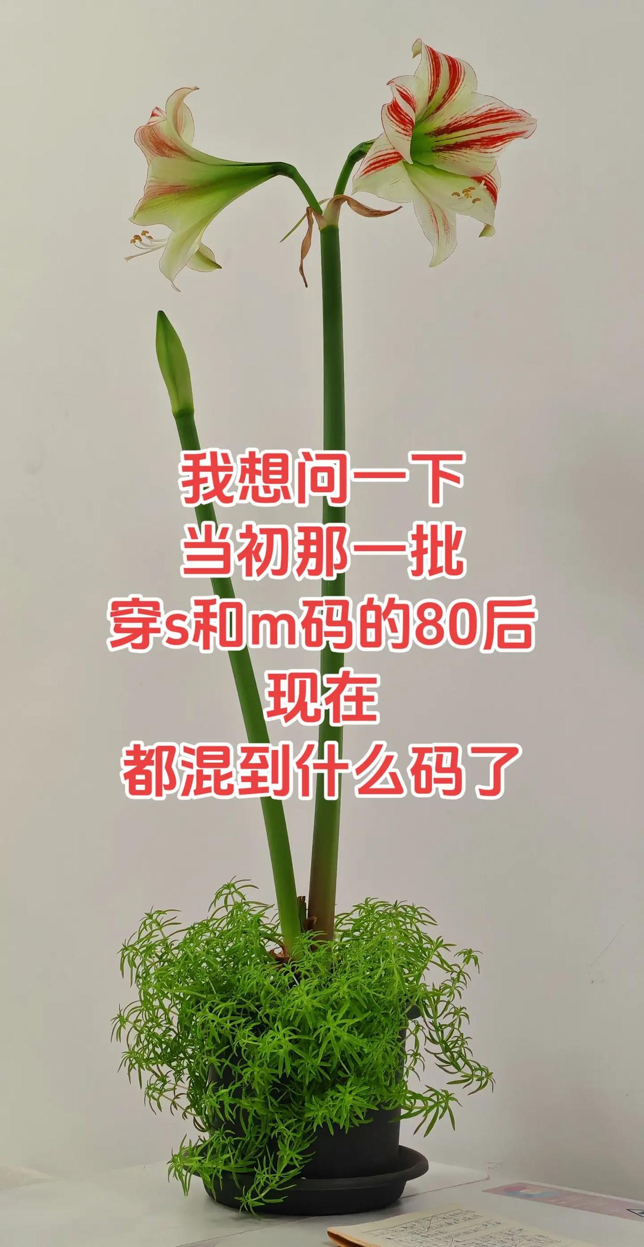 80后的我们是不是都在跟体重较劲儿~