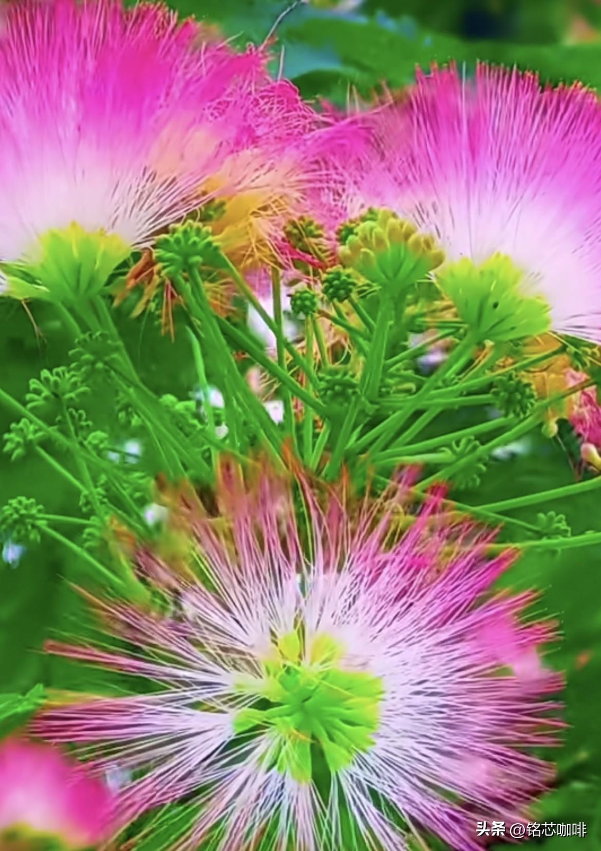 上联：风起风息风未语
  下联：花开花落花无悔