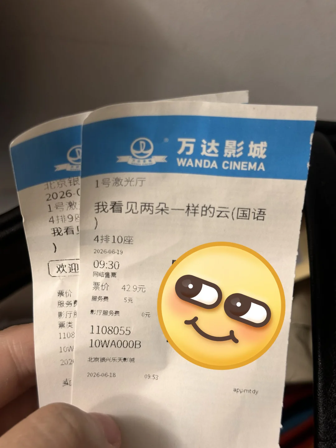 《我看见两朵一样的云》已阅：王源文淇爱疯了