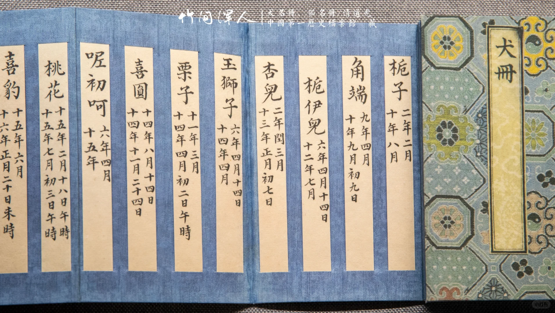 来看，清宫里的皇家猫猫狗狗都叫啥😀