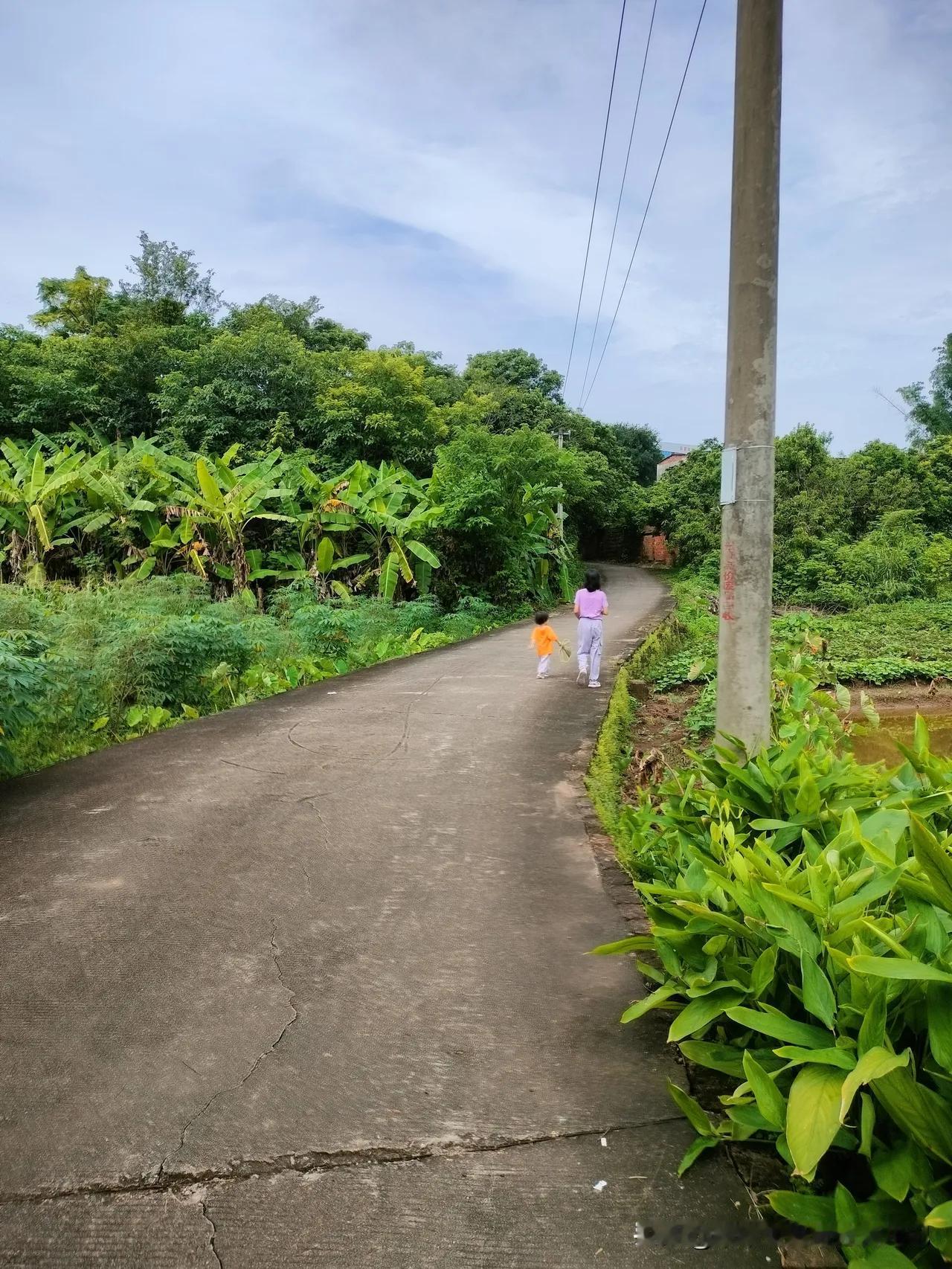 上联：山中易见千年树，求下联人间难见千岁人。本来应对世间难见百岁人，可现在百岁老