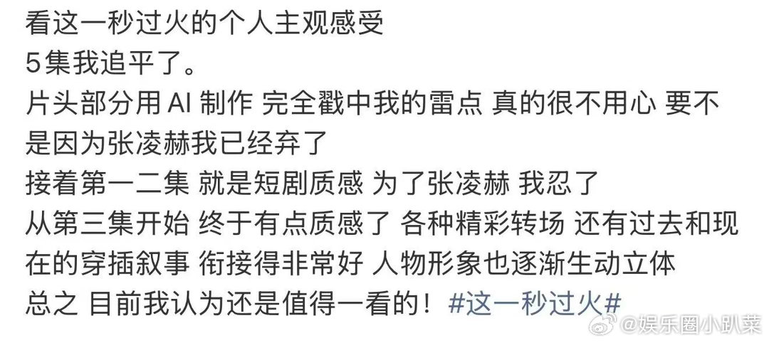 这一秒过火的权威我后知后觉张凌赫新剧的权威我后知后觉一开始只顾看剧情，忽略了角色