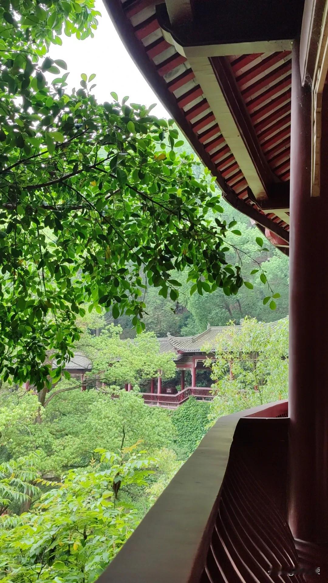 #拍一张你所在城市最美的景色#
亭台楼阁隐碧中。