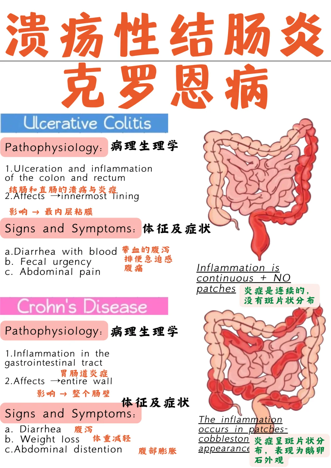 备考RN/克罗恩和结肠炎！！学！！单词
