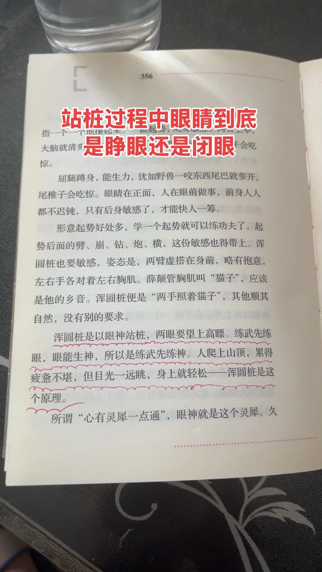 形意拳 浑圆桩 内家拳