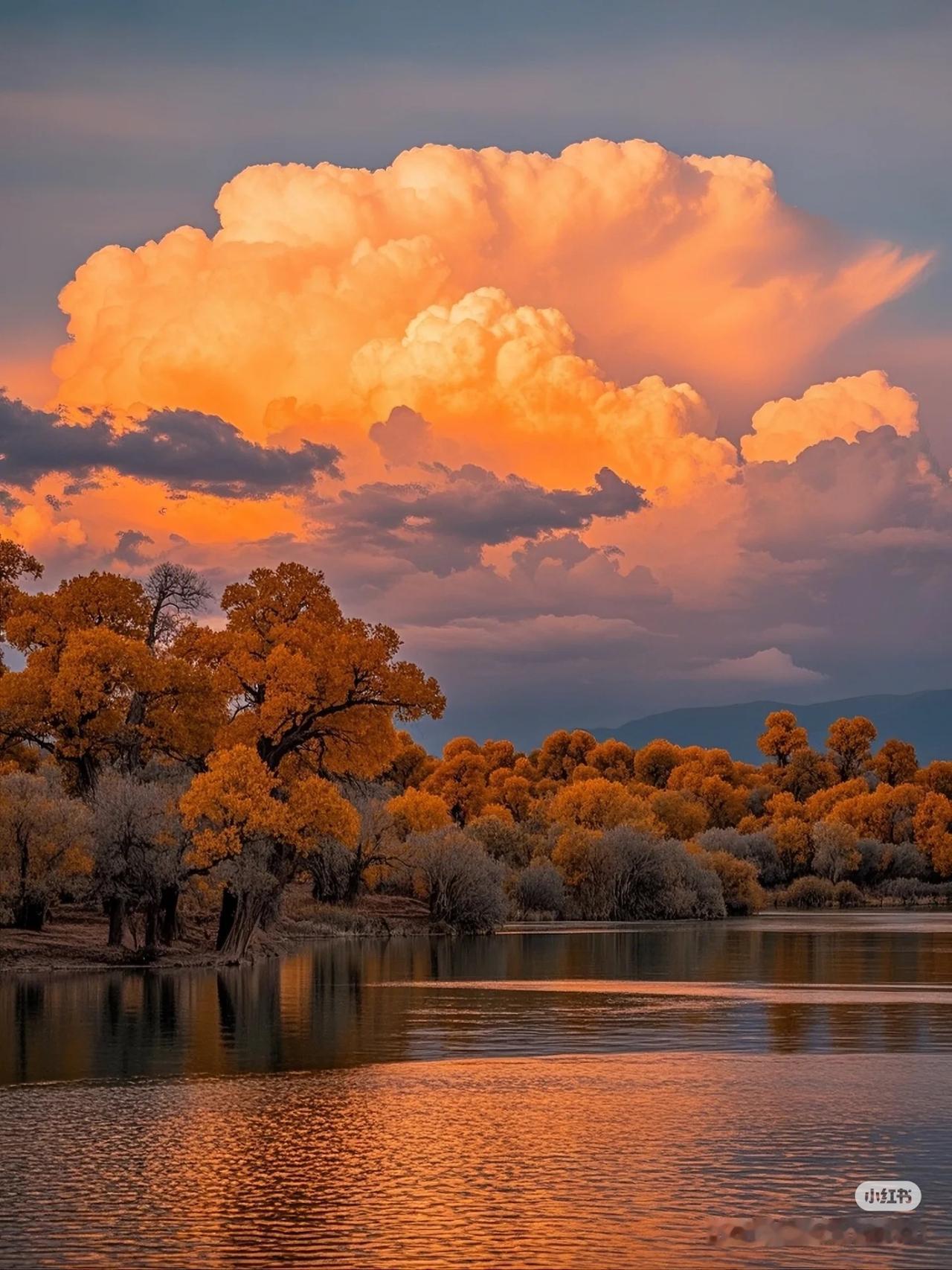 唯美壁纸谁不喜欢