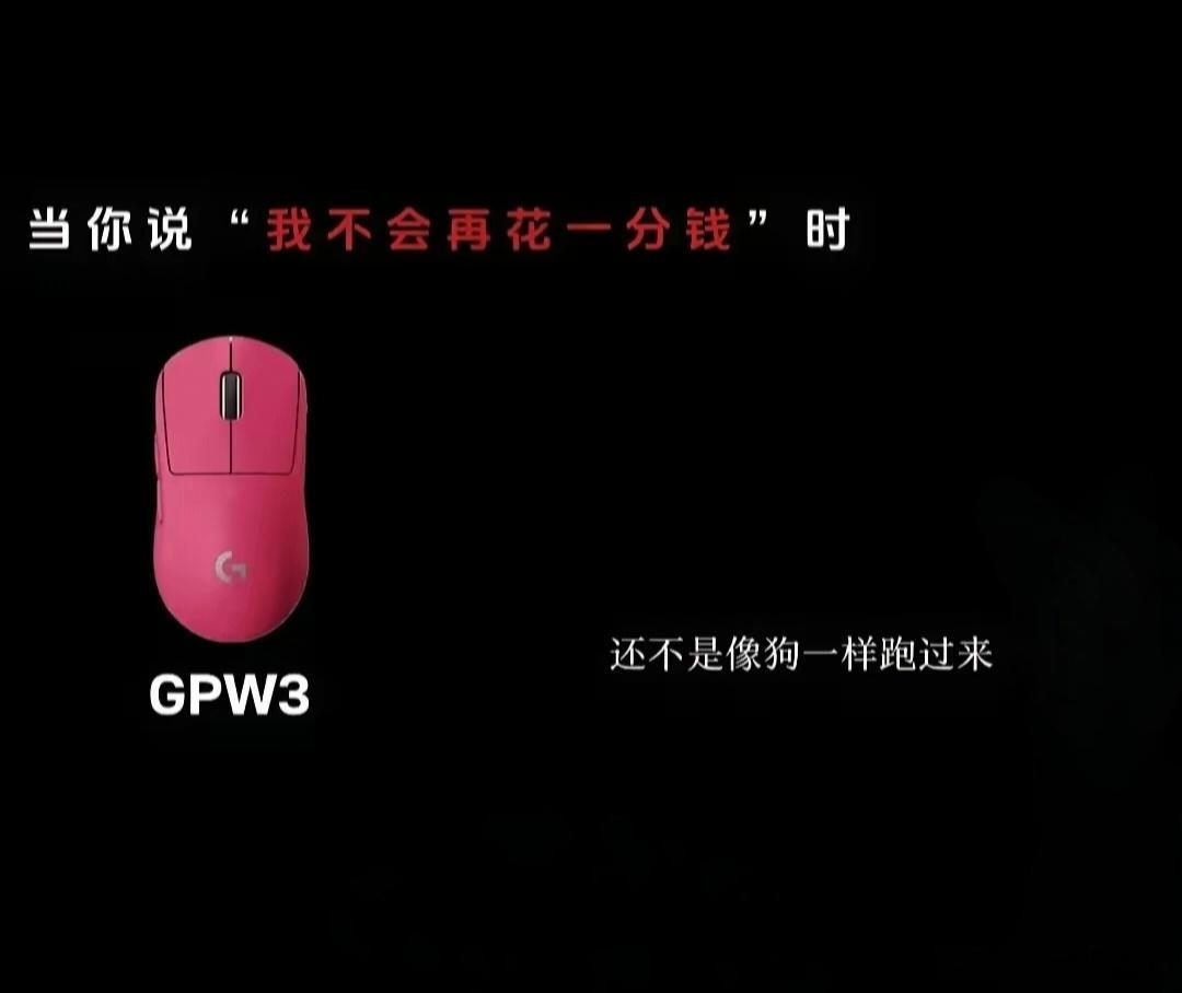 罗技中国区营收喜人 曾侮辱顾客是狗这牌子还能增长属实没想到！到现在还记得今年3月