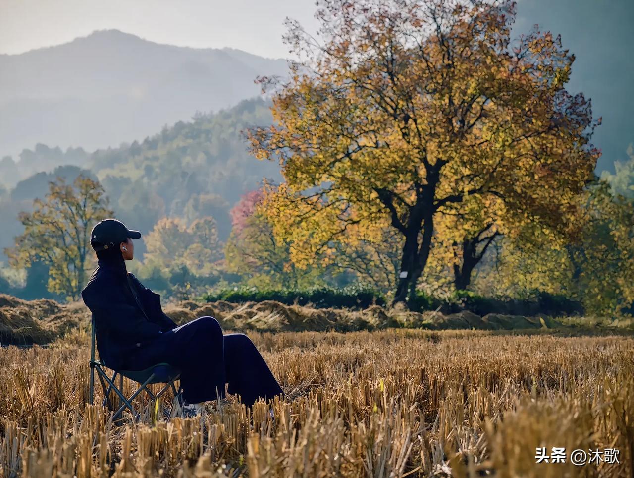 是深秋，非常喜欢这个颜色，小时候感觉秋天氛围图片 橘子色秋天 秋冬时节的色彩 秋
