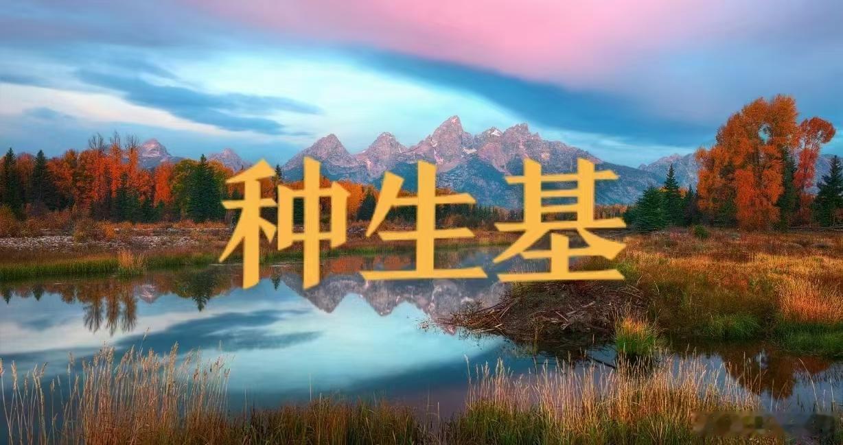 🌱探索神秘的「种生基」：风水与长寿的完美结合🔮「种生基」，这个听起来有些神秘