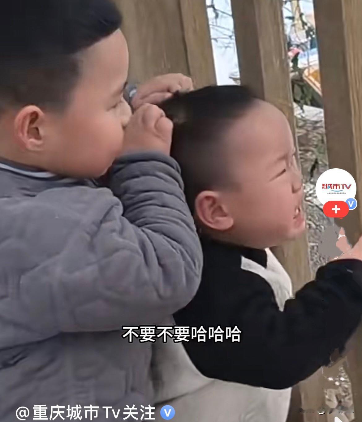 近日，贵州妈妈和两个儿子在家，淘气的弟弟把头钻进了栅栏里，头被栅栏卡住出不来了，