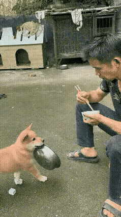 刷到这段视频，内心很受触动，不由得想起奶奶家那只叫妞妞的小狗，十分通人性。每次我