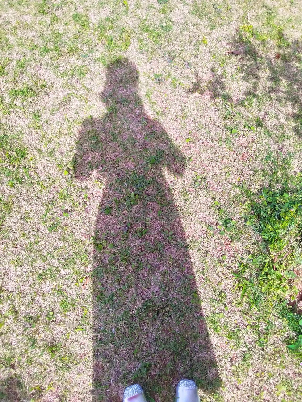 底层出身的女性必须清楚意识到，
你身后空无一人，
你没有可以依靠的人，
除了你自