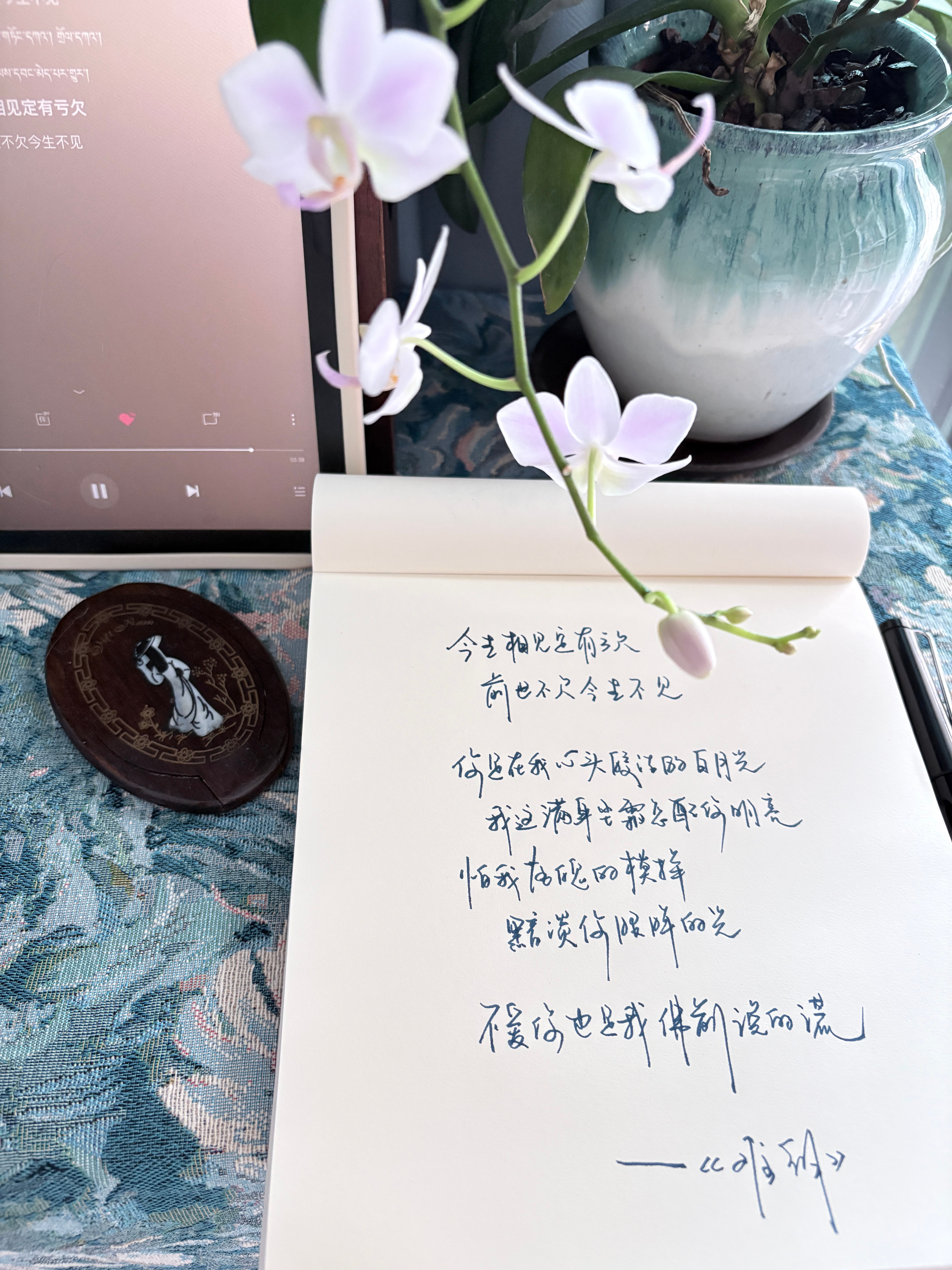 种了两三年的蝴蝶兰，在这个盛夏开了。她叫残雪。 