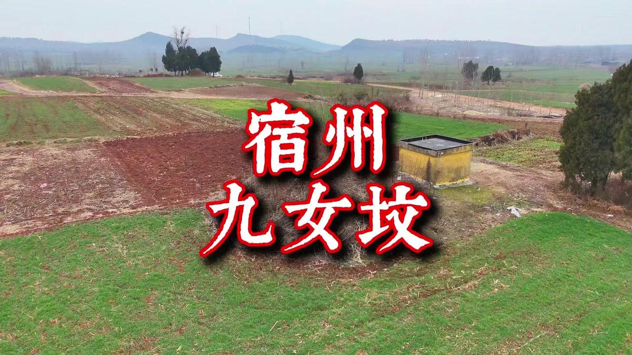 💔宿州九女坟：八女惨死蟒蛇口，九魂封山护一方
这是宿州的九女坟，位于埇桥区褚兰