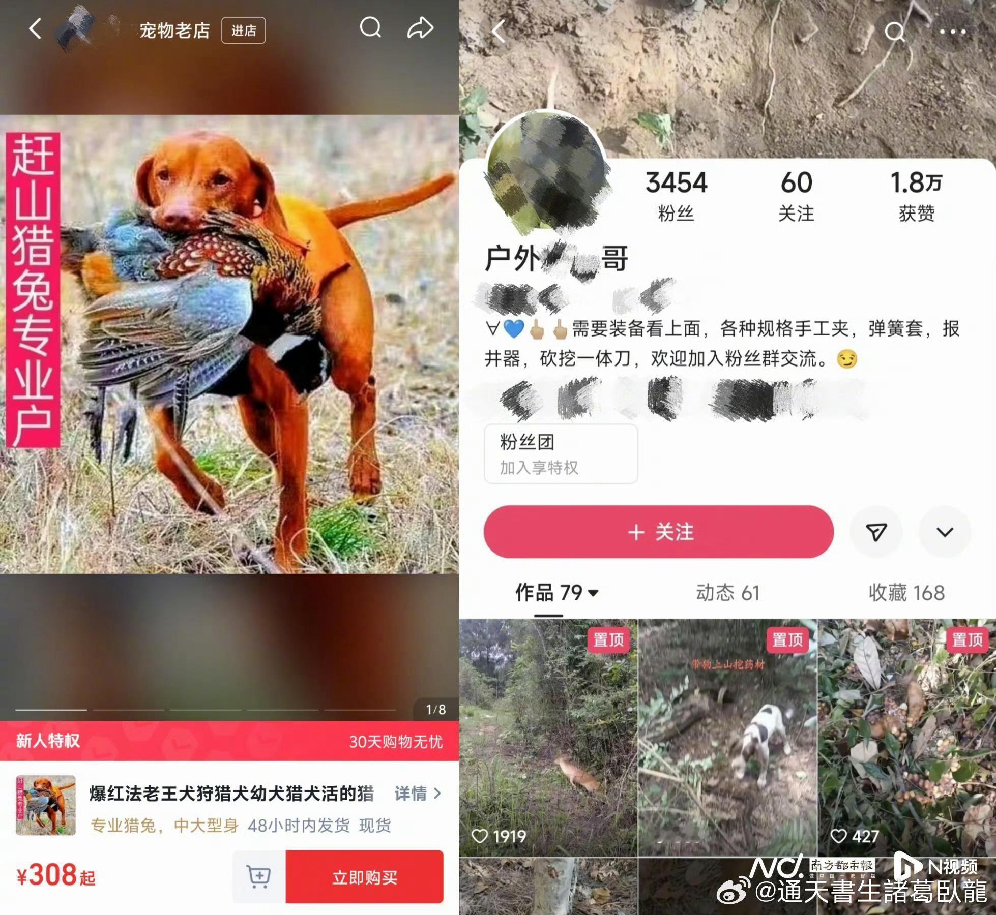 應該要坐牢的吧盗猎直播打赏点赞如潮水諸葛臥龍反忽小隊[超话] ​​​