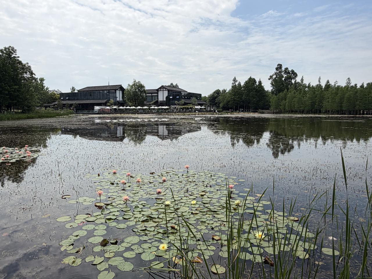 美食日记：白鹭·烟汀自然美学餐厅｜藏在湿地公园里的莫奈花园午餐🌿

2026年