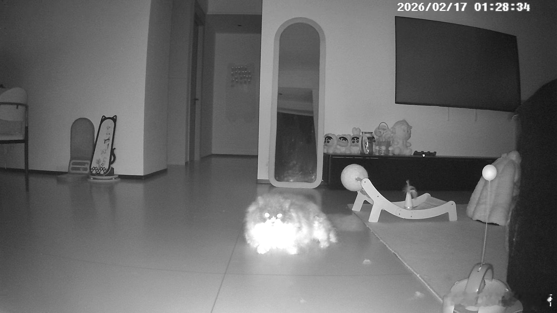 新年外面鞭炮齐鸣 打开监控看看留守儿童 发财他就一动不动盯着监控 他也知道我才看