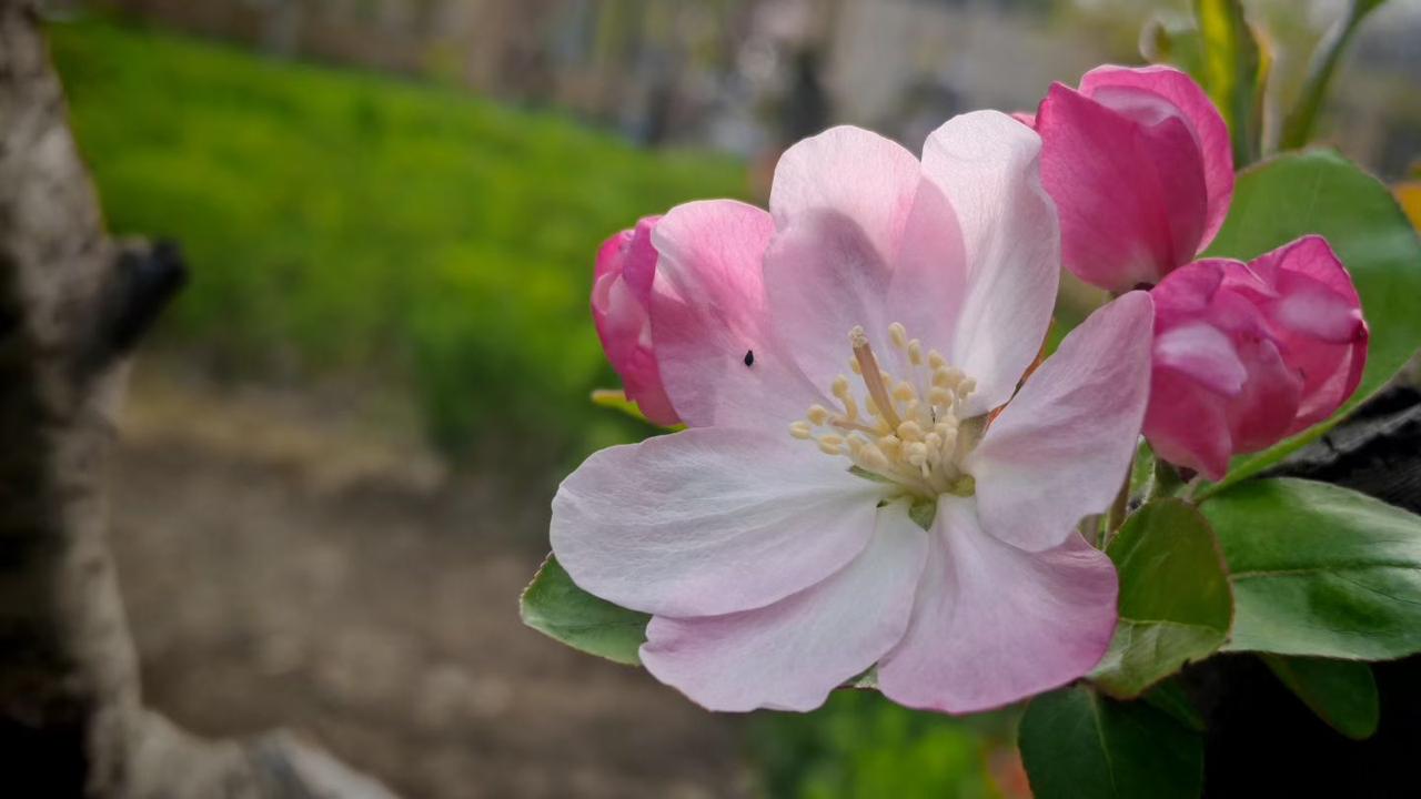 我们老了有点养老钱，守住自己的老窝，不依附别人，往后余生
 不求大富大贵，只求健