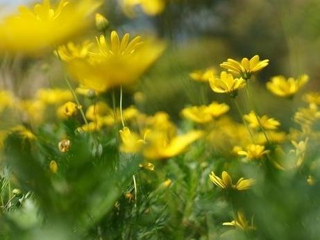 “宁愿自己买菜做饭、独自看病，也坚决不跟子女挤在一个屋檐下”——这届老人的“独居