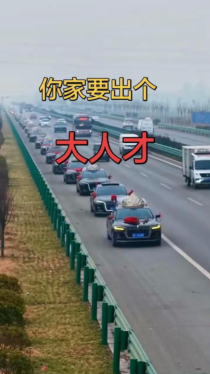 婚车存在的意义 统一婚车车队 婚车队伍 奔驰奥迪红旗车队 婚车新定义