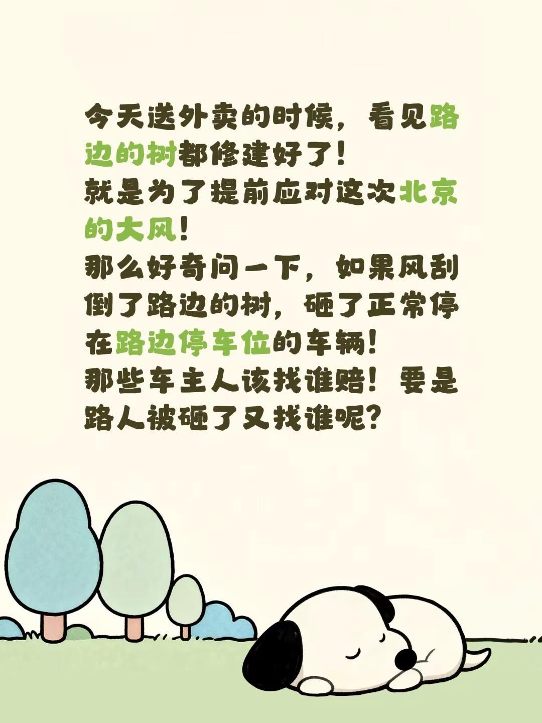 今天送外卖的时候，看见路边的树都修建好了！就是为了提前应对这次北京的大风！那么好