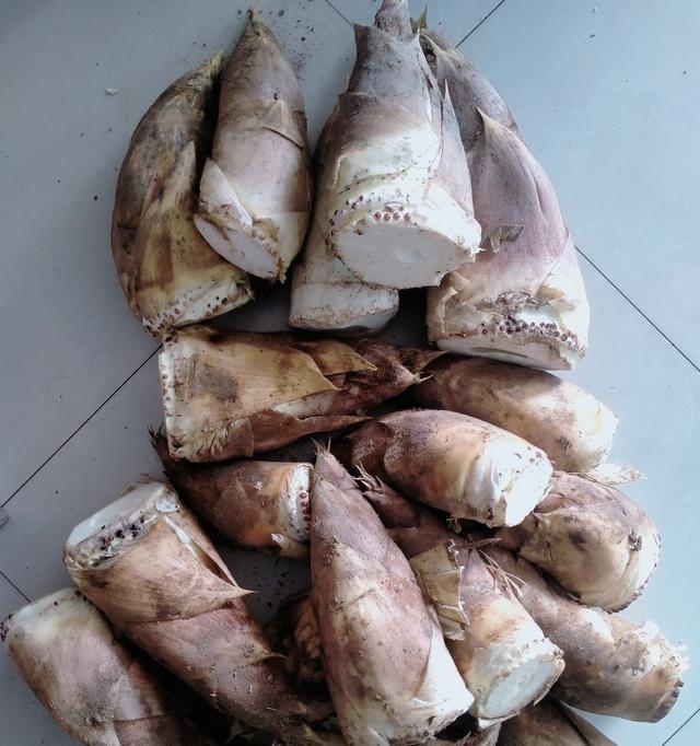 朋友给了一大袋自家挖的竹笋，吃不完怕坏了。平时也就买两根，这回量太大，油焖、炒肉