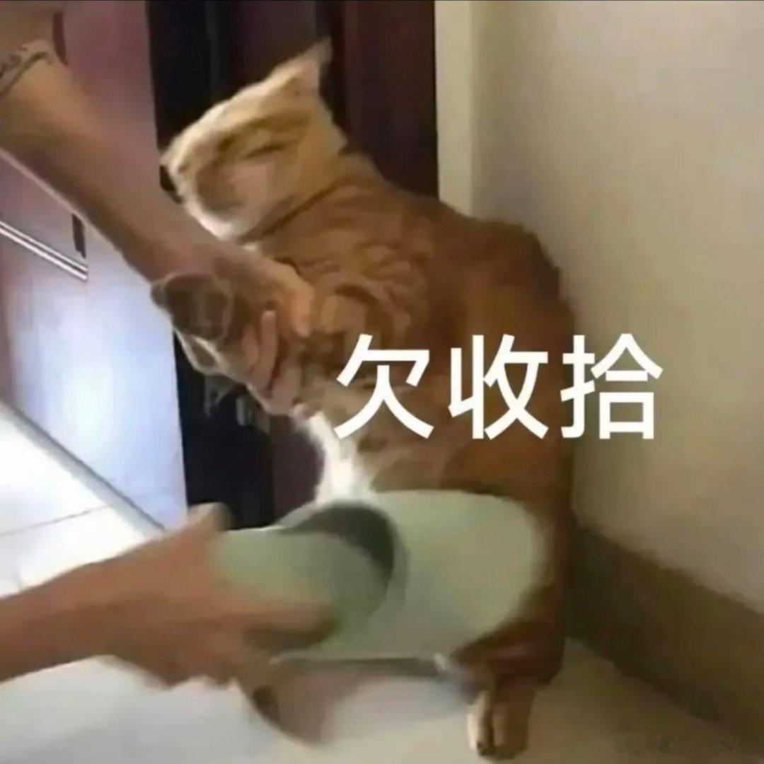 今日表情包分享！ 
