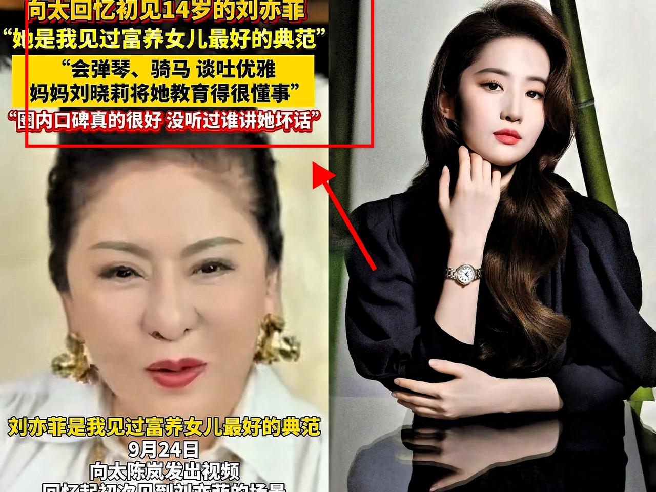 终于知道刘亦菲为啥不结婚了,
不是因为没人追，
也不是因为她长得不够好看，而是因