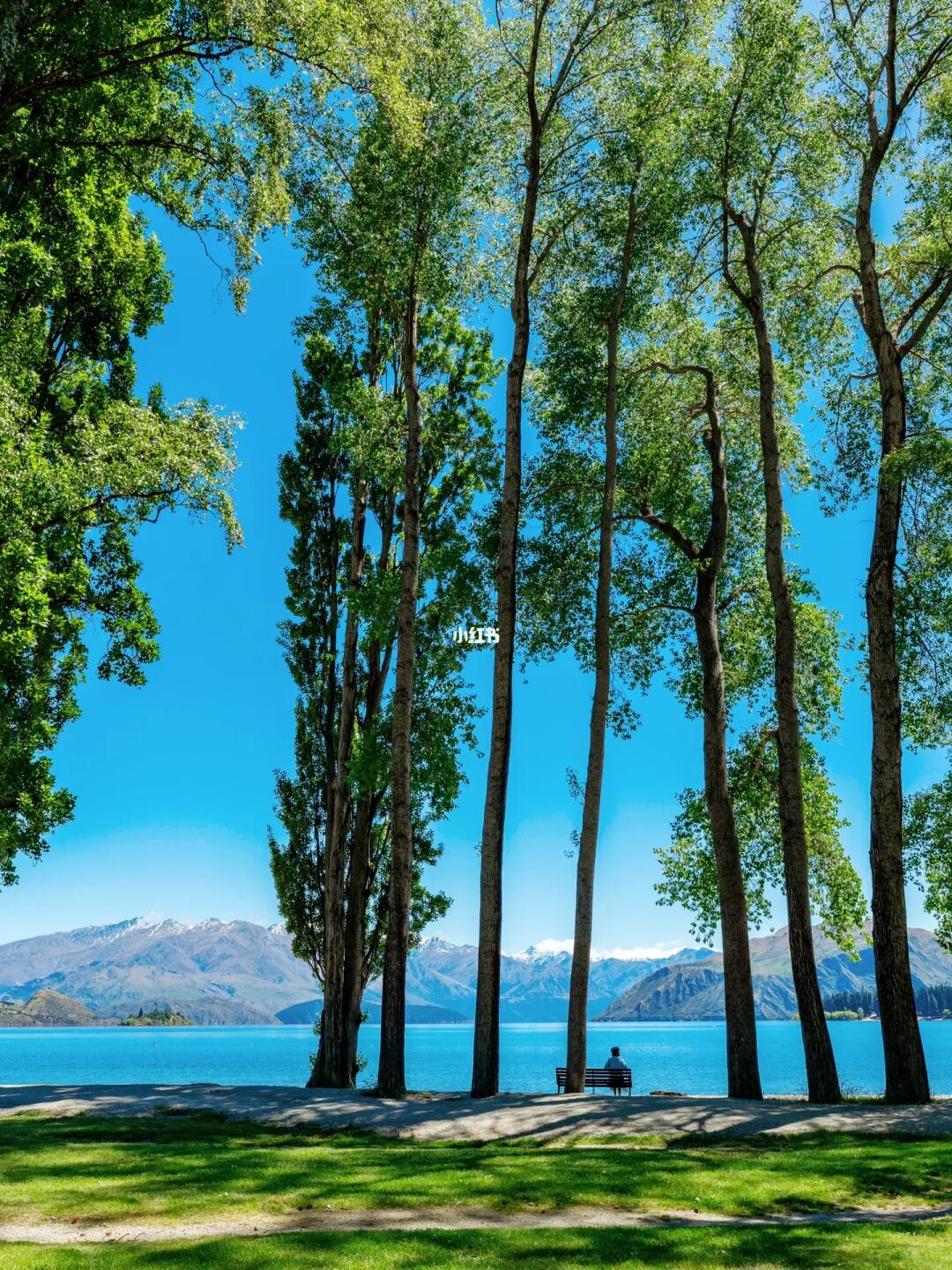 喜欢有1万种理由，瓦纳卡小镇生活我的梦❗️