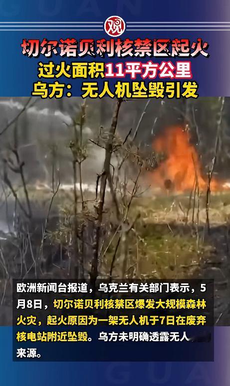 谁也没想到，那个曾让全世界谈之色变的切尔诺贝利核禁区，竟然又出大事了。
 
就在