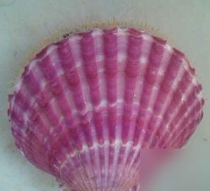 海水抽进膜车间的那一刻，咸味就定了基调。

说真的我到现在都能想起前几次抢盐潮里